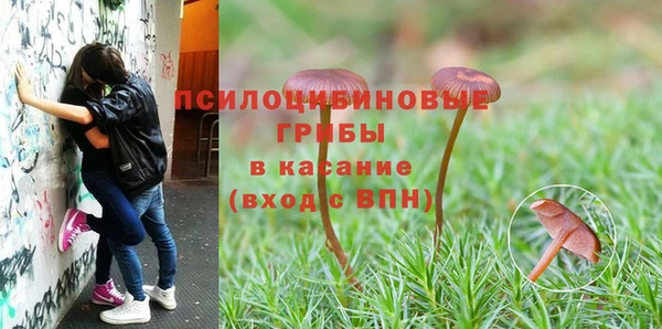 гидропоника Белокуриха