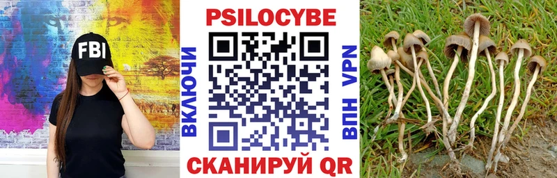 Псилоцибиновые грибы GOLDEN TEACHER Ершов